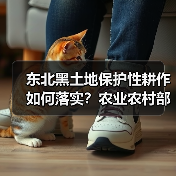 东北黑土地保护性耕作如何落实？农业农村部部署关键行动（图1）