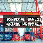 农业的未来，是否已经被激烈的市场竞争所定义？尤其在Wheat Cultivati
