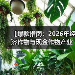 【爆款指南:2026年经济作物与现金作物产业的深度解析】(图2) 【爆款指南:2026年经济作物与现金作物产业的深度解析】(图2)