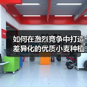 如何在激烈竞争中打造差异化的优质小麦种植策略