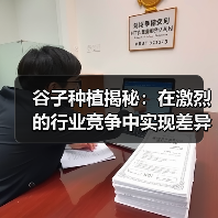谷子种植揭秘：在激烈的行业竞争中实现差异化盈利