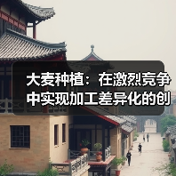 大麦种植：在激烈竞争中实现加工差异化的创新之路