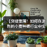 【突破重围!如何在激烈的小麦种植行业中实现品质差异化】(图4) 【突破重围!如何在激烈的小麦种植行业中实现品质差异化】(图4)
