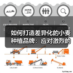 如何打造差异化的小麦种植品牌：应对激烈的市场竞争（图4）