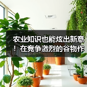 农业知识也能炫出新意！在竞争激烈的谷物作物行业里，品种差异化成为企业制胜的关键。你是否曾疑惑，为什么某些谷物品种能在市场中脱颖而出，而其他品种则逐渐被边缘化？其（图1）