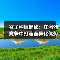 谷子种植揭秘:在激烈竞争中打造差异化优势(图3) 谷子种植揭秘:在激烈竞争中打造差异化优势(图3)