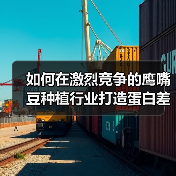 如何在激烈竞争的鹰嘴豆种植行业打造蛋白差异化突破（图4）