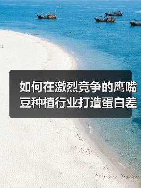 如何在激烈竞争的鹰嘴豆种植行业打造蛋白差异化突破（图2）