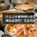 什么让大麦种植行业变得如此激烈?又如何通过差异化加工突破重围?在这个竞争白热化的农业领域,掌握独家技术和行业内幕,成为致胜关键。本文将带你深度解读大麦种植的现状(图1) 什么让大麦种植行业变得如此激烈?又如何通过差异化加工突破重围?在这个竞争白热化的农业领域,掌握独家技术和行业内幕,成为致胜关键。本文将带你深度解读大麦种植的现状(图1)