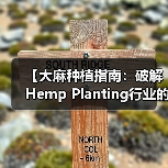 【大麻种植指南:破解Hemp Planting行业的竞争密局】(图4) 【大麻种植指南:破解Hemp Planting行业的竞争密局】(图4)