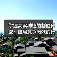 掌握高粱种植的制胜秘密:破局竞争激烈的行业新战场(图4) 掌握高粱种植的制胜秘密:破局竞争激烈的行业新战场(图4)