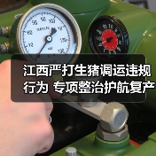 江西严打生猪调运违规行为 专项整治护航复产增养(图3) 江西严打生猪调运违规行为 专项整治护航复产增养(图3)
