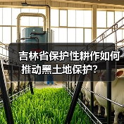 吉林省保护性耕作如何推动黑土地保护？（图2）