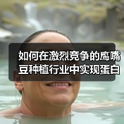 如何在激烈竞争的鹰嘴豆种植行业中实现蛋白差异化(图1) 如何在激烈竞争的鹰嘴豆种植行业中实现蛋白差异化(图1)