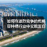如何在激烈竞争的鹰嘴豆种植行业中实现蛋白差异化(图2) 如何在激烈竞争的鹰嘴豆种植行业中实现蛋白差异化(图2)