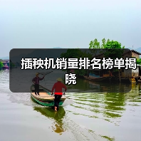 插秧机销量排名榜单揭晓（图2）