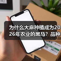 为什么大麻种植成为2026年农业的黑马?品种差异化让你在激烈竞争中突围(图2) 为什么大麻种植成为2026年农业的黑马?品种差异化让你在激烈竞争中突围(图2)