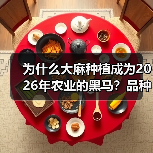 为什么大麻种植成为2026年农业的黑马?品种差异化让你在激烈竞争中突围(图3) 为什么大麻种植成为2026年农业的黑马?品种差异化让你在激烈竞争中突围(图3)