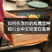 如何在激烈的鹰嘴豆种植行业中实现蛋白差异化的突破(图1) 如何在激烈的鹰嘴豆种植行业中实现蛋白差异化的突破(图1)