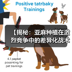 【揭秘:亚麻种植在激烈竞争中的差异化战术】(图3) 【揭秘:亚麻种植在激烈竞争中的差异化战术】(图3)