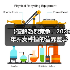 【破解激烈竞争!2026年荞麦种植的营养差异化策略】(图4) 【破解激烈竞争!2026年荞麦种植的营养差异化策略】(图4)