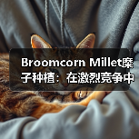 Broomcorn Millet糜子种植:在激烈竞争中打造差异化的秘诀(图2) Broomcorn Millet糜子种植:在激烈竞争中打造差异化的秘诀(图2)