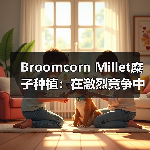 Broomcorn Millet糜子种植:在激烈竞争中打造差异化的秘诀(图4) Broomcorn Millet糜子种植:在激烈竞争中打造差异化的秘诀(图4)