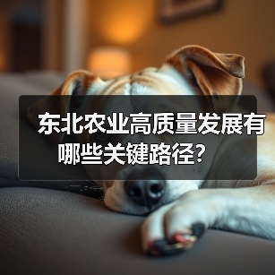 东北农业高质量发展有哪些关键路径?(图4) 东北农业高质量发展有哪些关键路径?(图4)