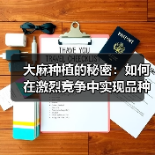 大麻种植的秘密:如何在激烈竞争中实现品种差异化(图4) 大麻种植的秘密:如何在激烈竞争中实现品种差异化(图4)