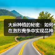 大麻种植的秘密:如何在激烈竞争中实现品种差异化(图3) 大麻种植的秘密:如何在激烈竞争中实现品种差异化(图3)