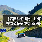 【荞麦种植揭秘:如何在激烈竞争中实现营养差异化】(图2) 【荞麦种植揭秘:如何在激烈竞争中实现营养差异化】(图2)