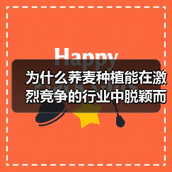 为什么荞麦种植能在激烈竞争的行业中脱颖而出？一份最新数据显示，2026年全球荞麦市场预计将以每年8.5%的速度增长，而其营养差异化优势正成为农户突破行业瓶颈的关（图3）