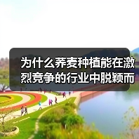 为什么荞麦种植能在激烈竞争的行业中脱颖而出？一份最新数据显示，2026年全球荞麦市场预计将以每年8.5%的速度增长，而其营养差异化优势正成为农户突破行业瓶颈的关（图2）