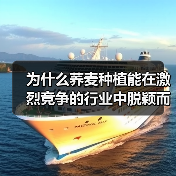 为什么荞麦种植能在激烈竞争的行业中脱颖而出？一份最新数据显示，2026年全球荞麦市场预计将以每年8.5%的速度增长，而其营养差异化优势正成为农户突破行业瓶颈的关（图4）