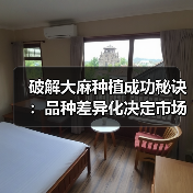破解大麻种植成功秘诀:品种差异化决定市场竞争力(图4) 破解大麻种植成功秘诀:品种差异化决定市场竞争力(图4)