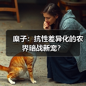 糜子:抗性差异化的农界暗战新宠?(图4) 糜子:抗性差异化的农界暗战新宠?(图4)