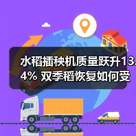 水稻插秧机质量跃升13.4% 双季稻恢复如何受益?(图2) 水稻插秧机质量跃升13.4% 双季稻恢复如何受益?(图2)