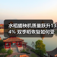水稻插秧机质量跃升13.4% 双季稻恢复如何受益?(图3) 水稻插秧机质量跃升13.4% 双季稻恢复如何受益?(图3)