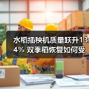水稻插秧机质量跃升13.4% 双季稻恢复如何受益？（图4）