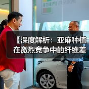 【深度解析:亚麻种植在激烈竞争中的纤维差异化策略】(图1) 【深度解析:亚麻种植在激烈竞争中的纤维差异化策略】(图1)
