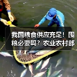 我国粮食供应充足!囤粮必要吗?农业农村部回应(图3) 我国粮食供应充足!囤粮必要吗?农业农村部回应(图3)