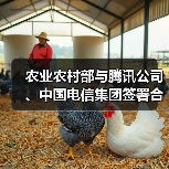 农业农村部与腾讯公司、中国电信集团签署合作框架协议 大力推动乡村治理数字实践(图3) 农业农村部与腾讯公司、中国电信集团签署合作框架协议 大力推动乡村治理数字实践(图3)