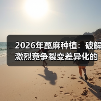 2026年蓖麻种植:破解激烈竞争裂变差异化的完整指南(图4) 2026年蓖麻种植:破解激烈竞争裂变差异化的完整指南(图4)
