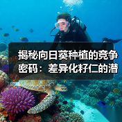 揭秘向日葵种植的竞争密码:差异化籽仁的潜力与策略(图2) 揭秘向日葵种植的竞争密码:差异化籽仁的潜力与策略(图2)