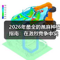 2026年最全的蓖麻种植指南:在激烈竞争中实现差异化突破(图3) 2026年最全的蓖麻种植指南:在激烈竞争中实现差异化突破(图3)