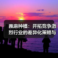 蓖麻种植:开拓竞争激烈行业的差异化策略与未来趋势(图4) 蓖麻种植:开拓竞争激烈行业的差异化策略与未来趋势(图4)