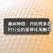 蓖麻种植:开拓竞争激烈行业的差异化策略与未来趋势(图2) 蓖麻种植:开拓竞争激烈行业的差异化策略与未来趋势(图2)