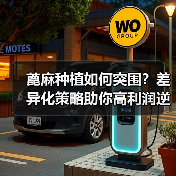 蓖麻种植如何突围?差异化策略助你高利润逆袭(图4) 蓖麻种植如何突围?差异化策略助你高利润逆袭(图4)