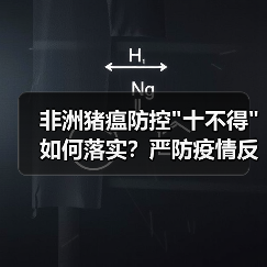 非洲猪瘟防控 非洲猪瘟防控