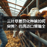 三叶草差异化种植如何突围?抗病适口策略全解析(图1) 三叶草差异化种植如何突围?抗病适口策略全解析(图1)